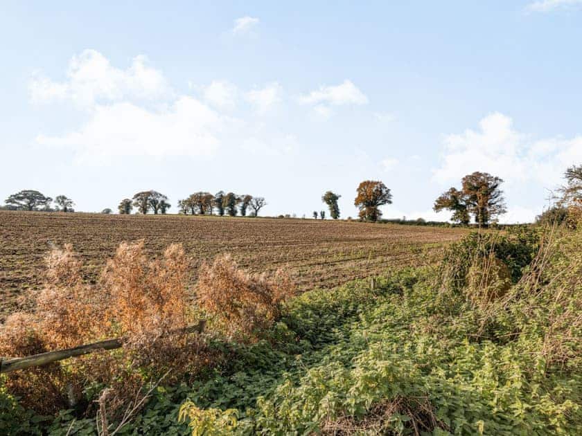 View | 2 Brick Kiln Barns - Brick Kiln Barns, Dilham, near North Walsham