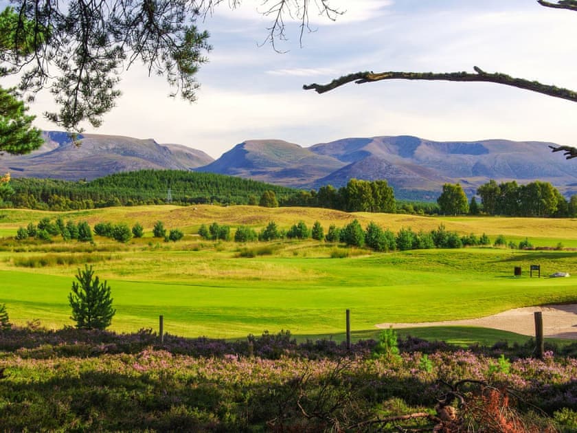 Surrounding area | Snowy Owl Lodge - Silverglades Holiday Homes, Aviemore