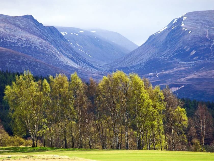 Surrounding area | Applewood Cottage - Silverglades Holiday Homes, Aviemore