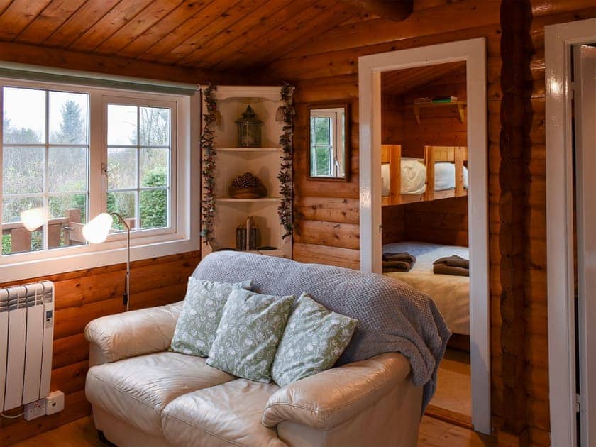 Living area | Trawsfynydd Cabin, Bron Aber, near Trawsfynydd