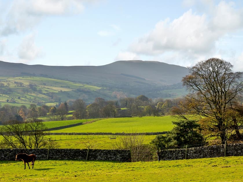 View | Griff Head Cottage - Town Head, Melmerby, near Coverdale