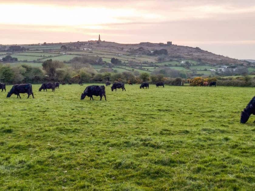 Surrounding area | Elderberry Cottage, Carnkie, near Carn Brea Redruth