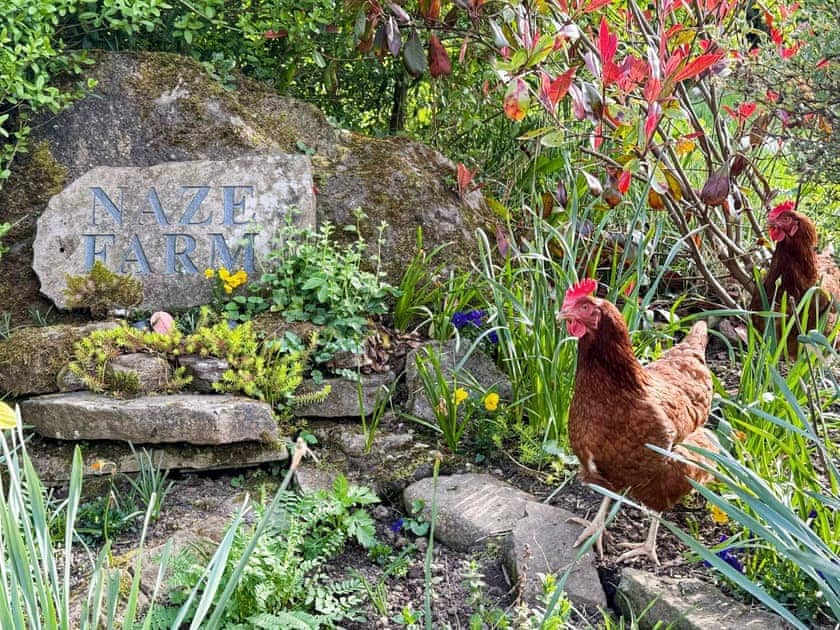 We are only 10 minutes walk from the village shops, pubs and eating places.  | Willow Cottage at Naze Farm - Naze Farm, Chinley