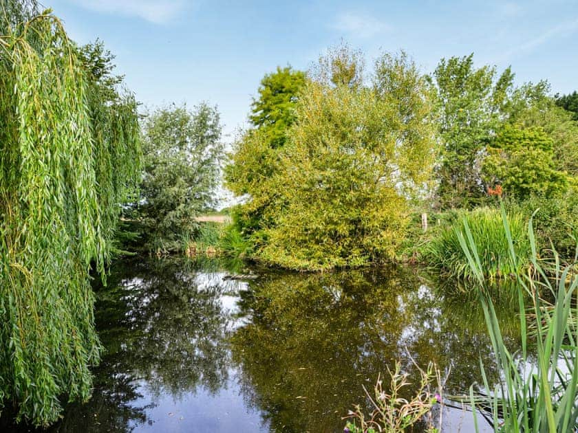 Surrounding area | Willows, Calbourne