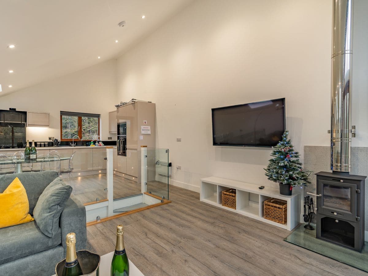 Ashgrove Country Park - Waterside Lodge Two - Holiday lodge in Yorkshire - Image 4