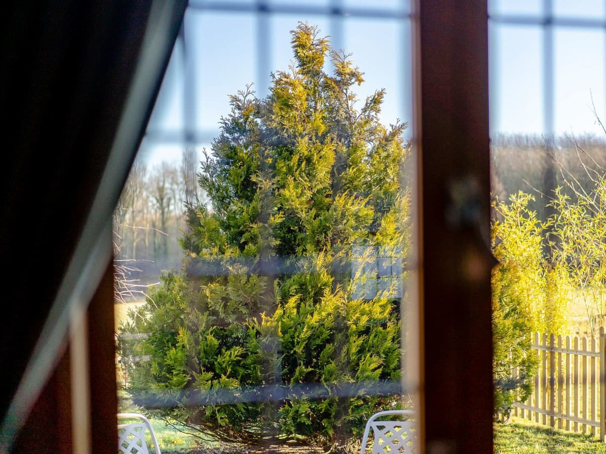 Bluebell Lodge - Holiday Lodge in Southern England - Image 3