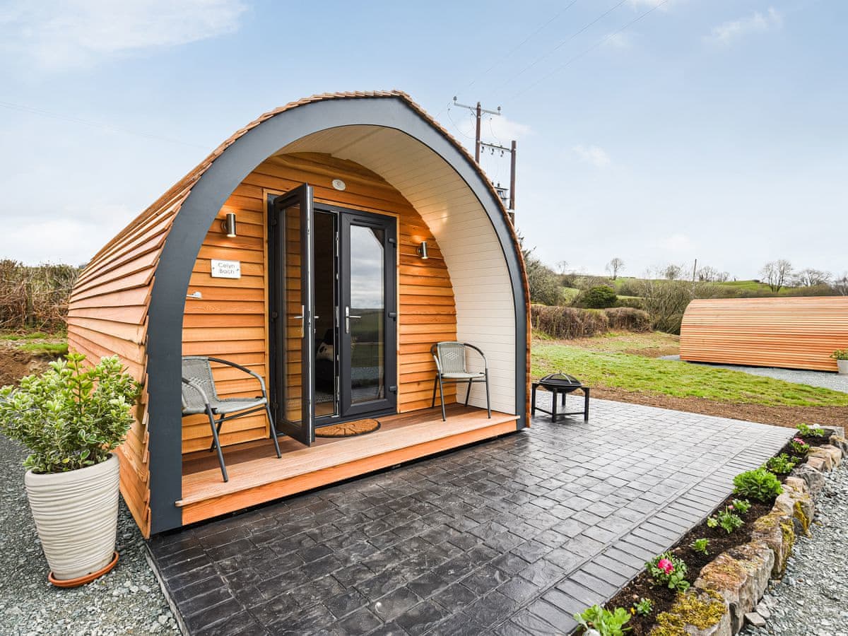 Podiau Efyrnwy Pods - Celyn Bach