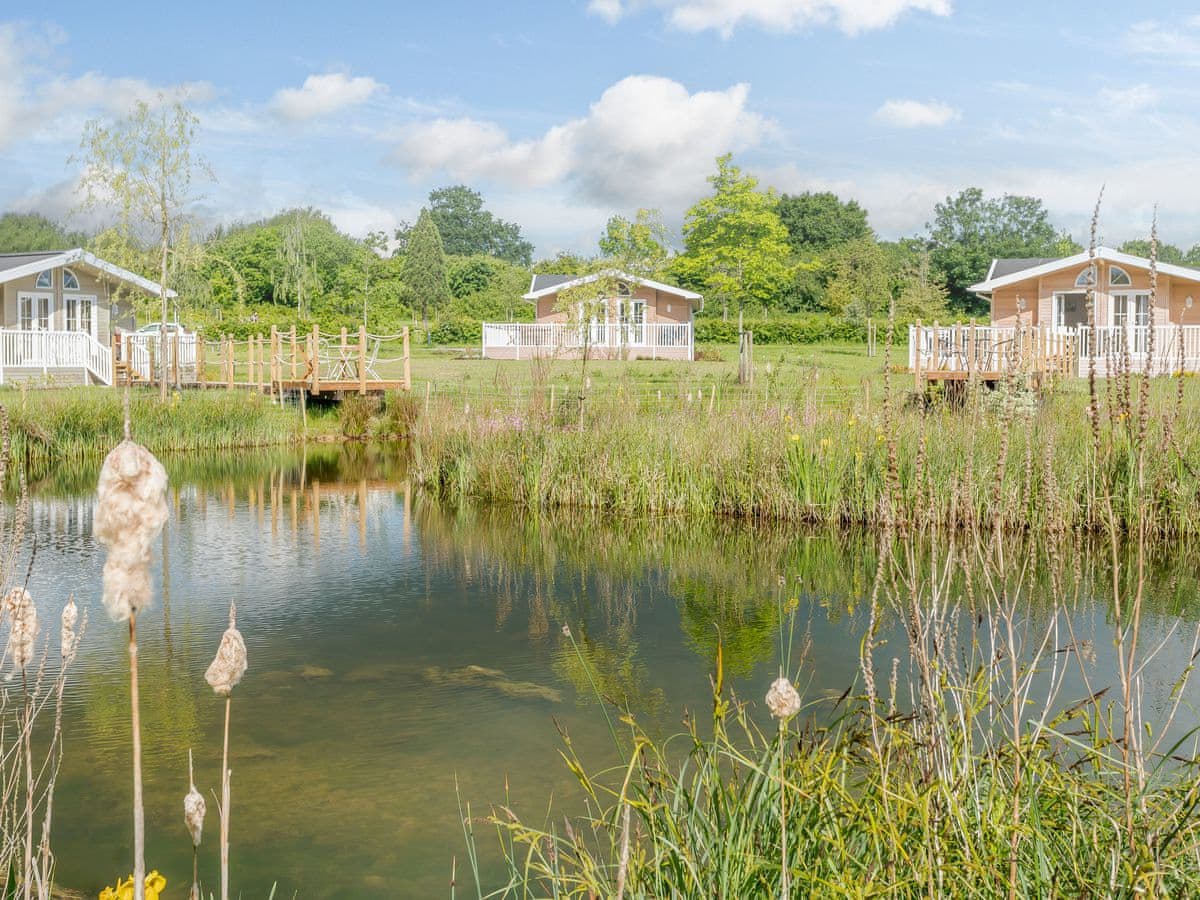 Mahonia Lodge - Holiday Lodge in Central England - Image 3