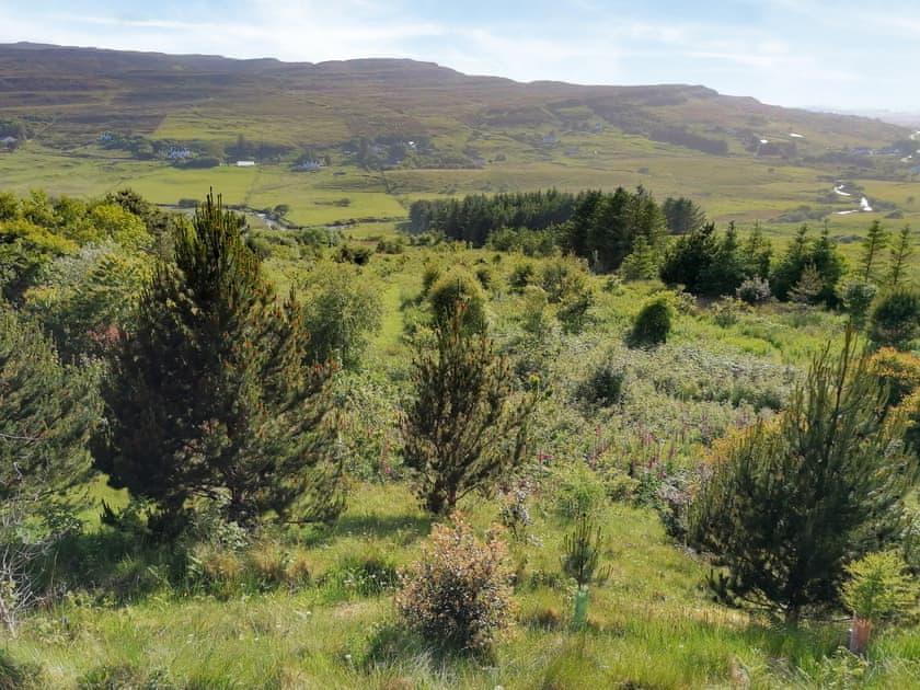 Looking down the garden to Hamara River  | Gàrradh an Fhàsaich, Glendale