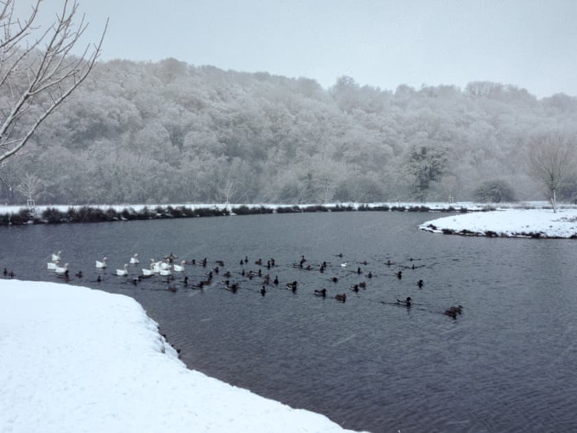 The lake onsite | Duvale Priory - Duvale Cottages, Bampton, near Tiverton