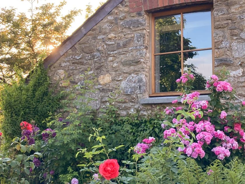 Garden | Tynval, Bronwydd Arms
