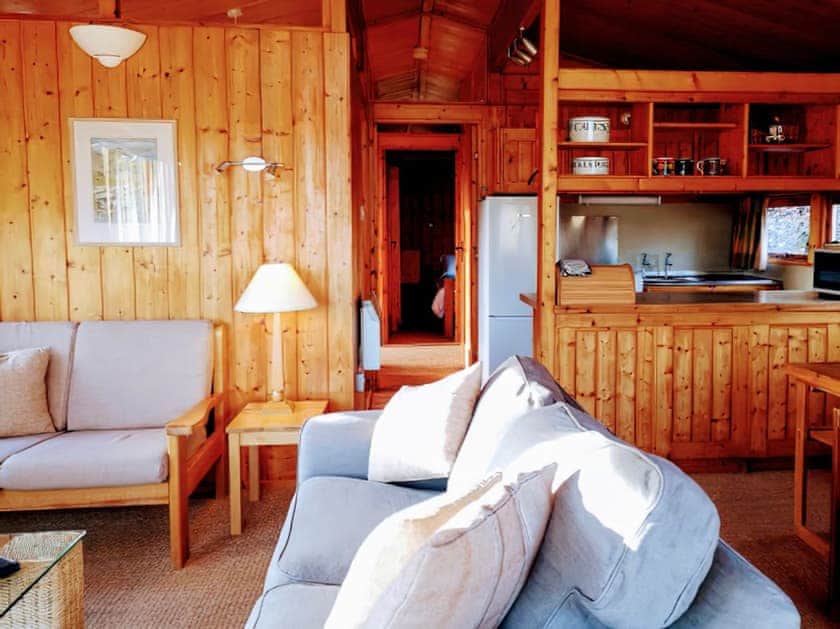 Typical living area | Conifer Chalet 5 - Loch Monzievaid, Crieff