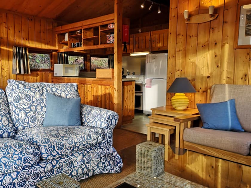 Typical living area | Conifer Chalet 5 - Loch Monzievaid, Crieff