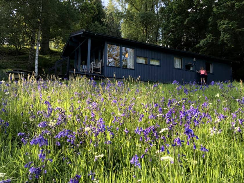 Setting | Conifer Chalet 5 - Loch Monzievaid, Crieff