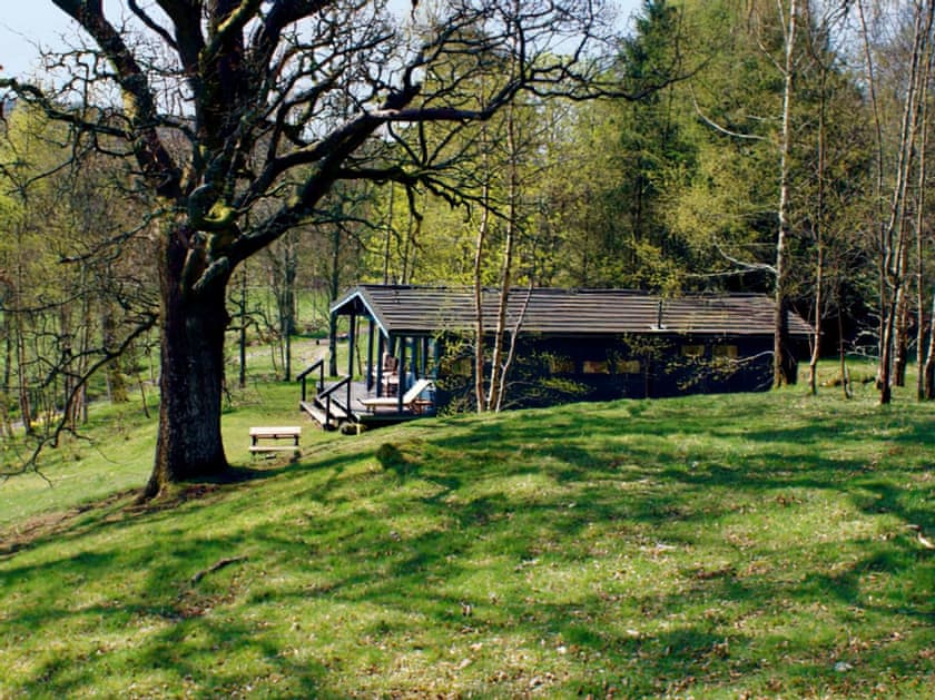 Setting | Conifer Chalet 5 - Loch Monzievaid, Crieff
