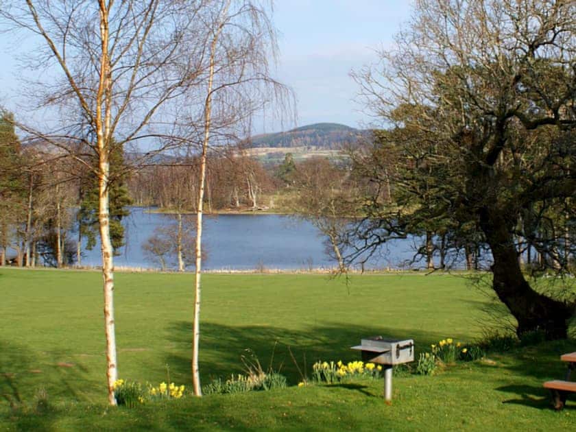 View | Conifer Chalet 5 - Loch Monzievaid, Crieff