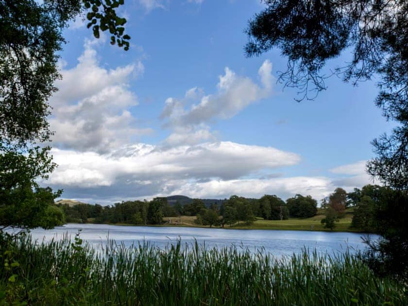 View | Conifer Chalet 5 - Loch Monzievaid, Crieff