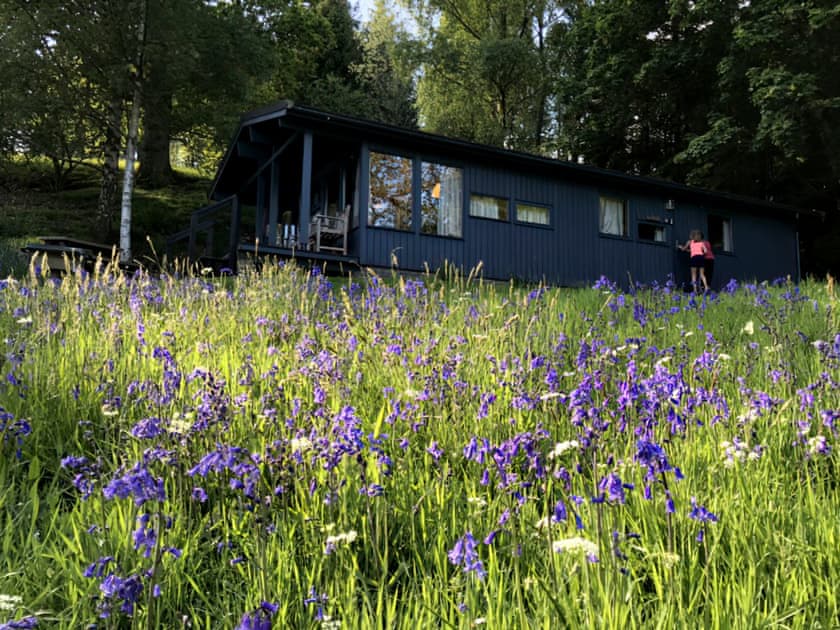 Setting | Conifer Chalet 9 - Loch Monzievaid, Crieff