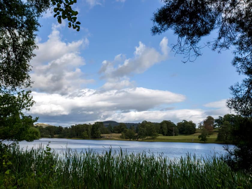 View | Conifer Chalet 9 - Loch Monzievaid, Crieff