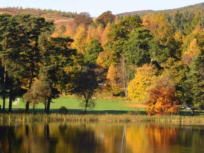 Setting | Pine Chalet 21 - Loch Monzievaid, Crieff
