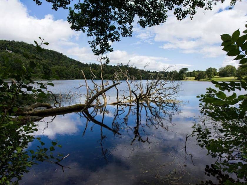 Setting | Pine Chalet 22 - Loch Monzievaid, Crieff