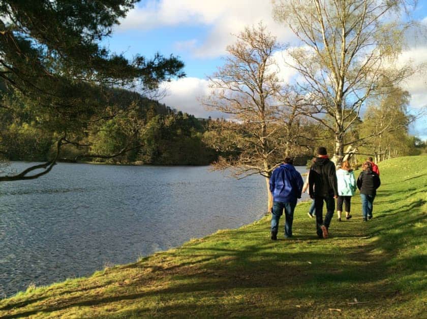 Setting | Pine Chalet 22 - Loch Monzievaid, Crieff