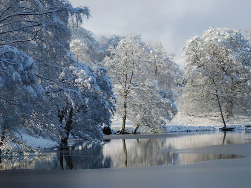 Setting | Cedar Chalet 17 - Loch Monzievaid, Crieff