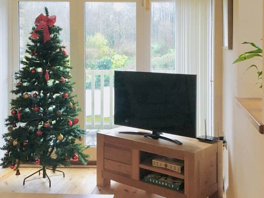 Festive decorations over the christmas period | Troed Y Rhiw, Aberporth