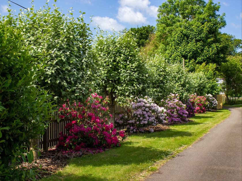Surrounding area | Home Farm Cottage, Forfar