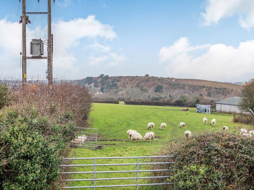 View | Rescorla Cottage, Rescorla