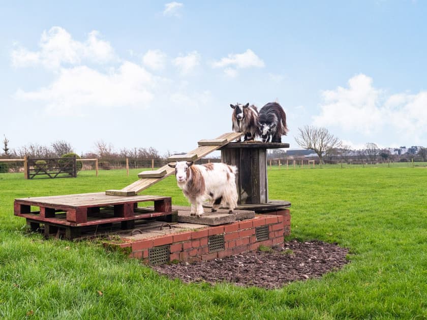 Garden and grounds | Greenbank Farm, Greenhalgh