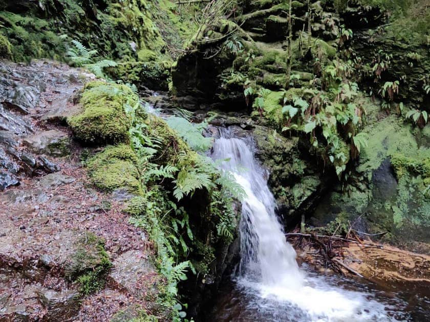 Glen Walk on the doorstep  | Willow Lodge, Dunoon