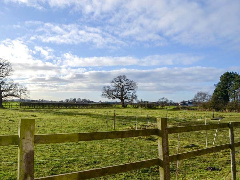 Garden and grounds | Ivy Grange Cottage, Wistow, near Selby