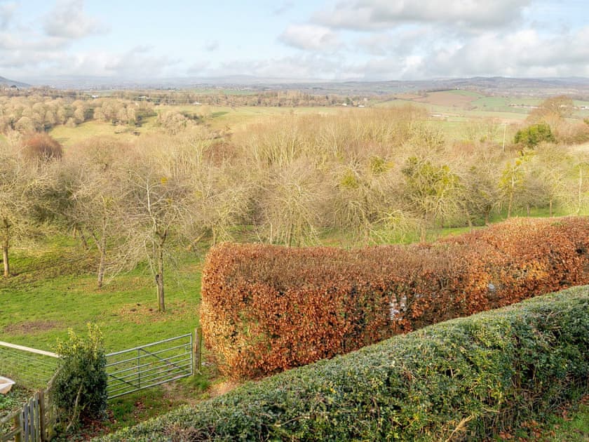 View | Yartleton Farm, Longhope