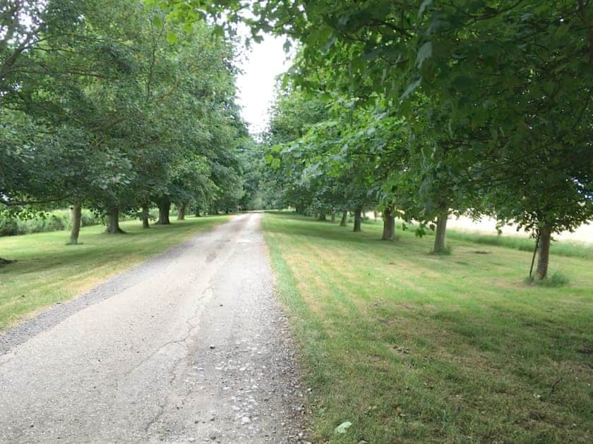 Tree lined driveway | Pheasant - Caves Farm Barns, Near Ely