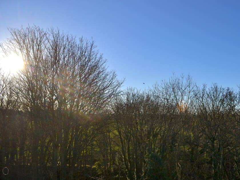 View | Marley’s Retreat, Holywell, Whitley Bay