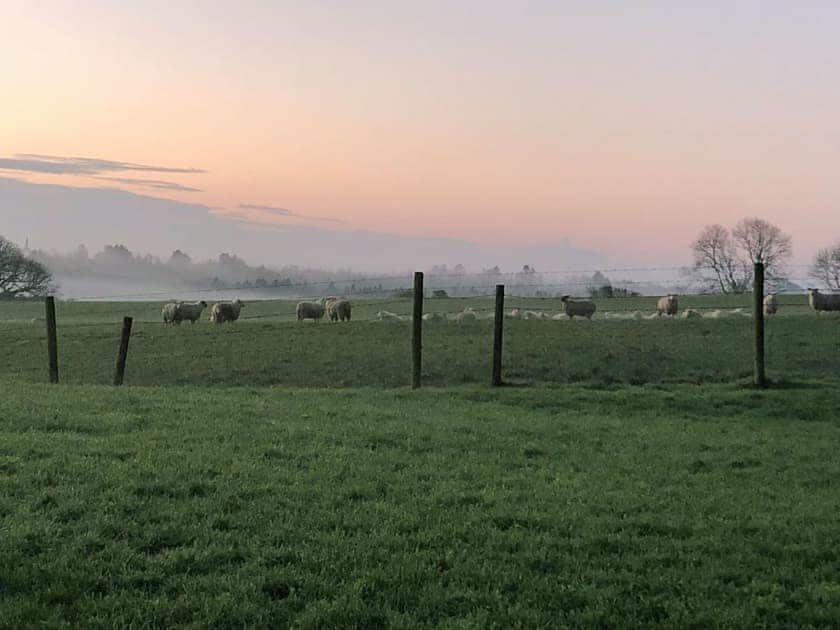 View from the patio | Manor Lodge Stables, Wiston, near Haverfordwest