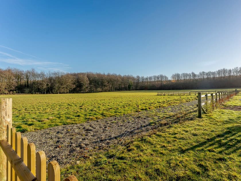 View | Bluebell Lodge - Chicken Shed Lodges, Ashford