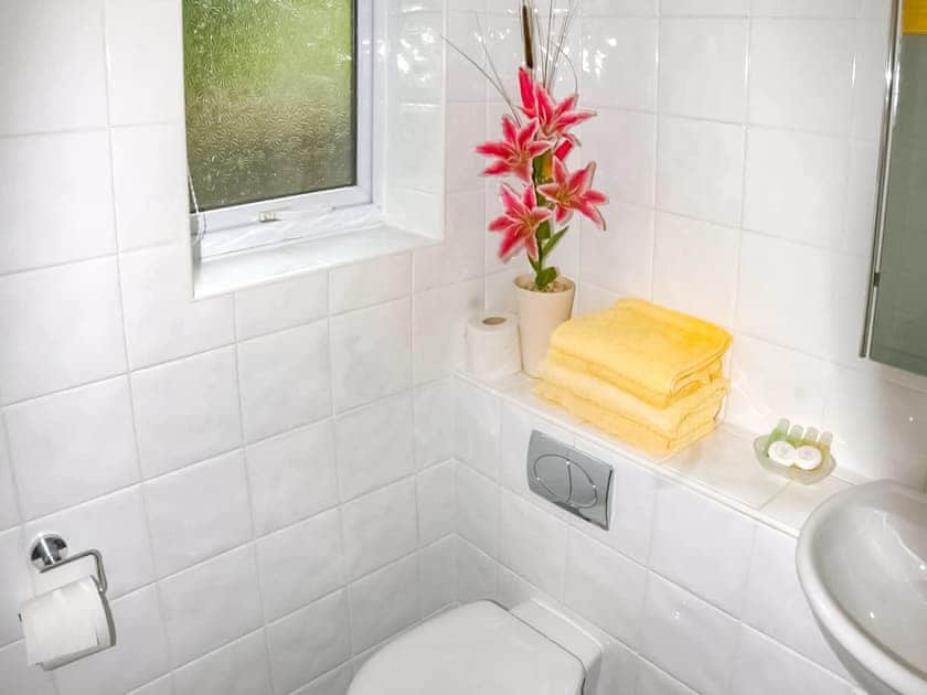 WC | Mendip Magic - Greyfield Cottages, High Littleton