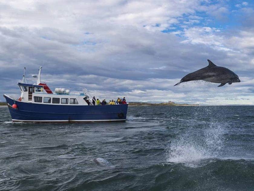 Local attraction | Town Farm Cottages, Beadnell