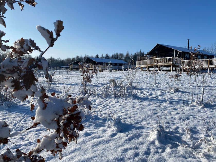 Setting | Fieldfare, Stanton-On-The-Wolds