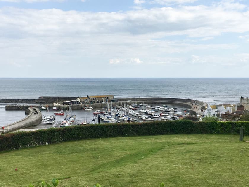 The Cobb and the Harbour | A Twist of Lyme, Raymond’s Hill, near Lyme Regis