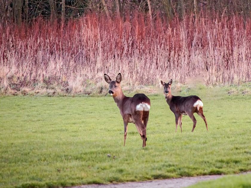 Garden and grounds | The Gatehouse, Bridlington
