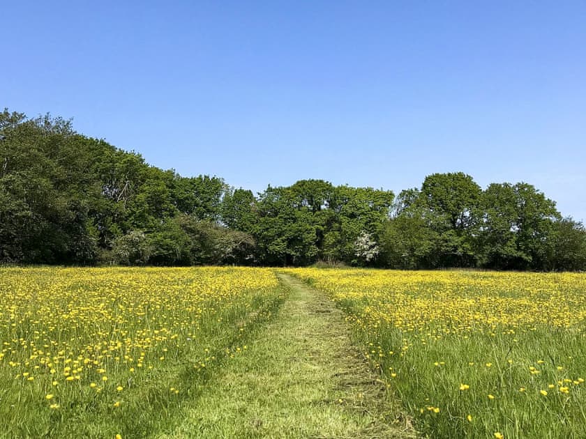 Surrounding area | Betty’s Cottage, North Walsham