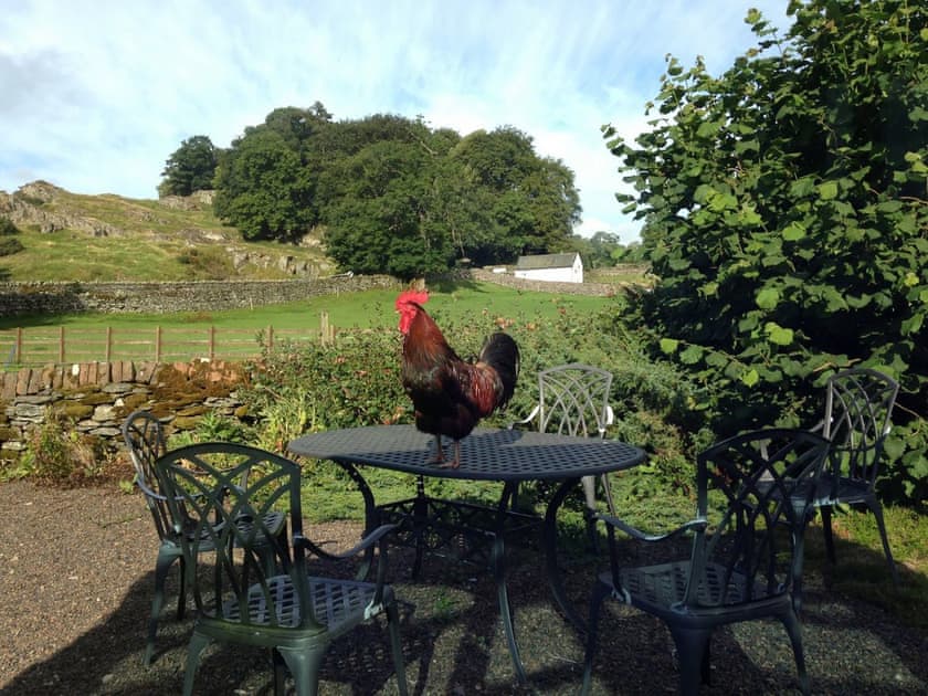 Garden and grounds | Mews Cottage, Bampton