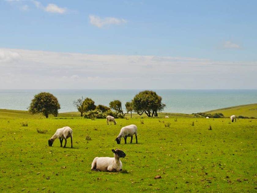 Surrounding area | Oak Cottage - Smugglers Barn Cottages, Jevington, near Eastbourne