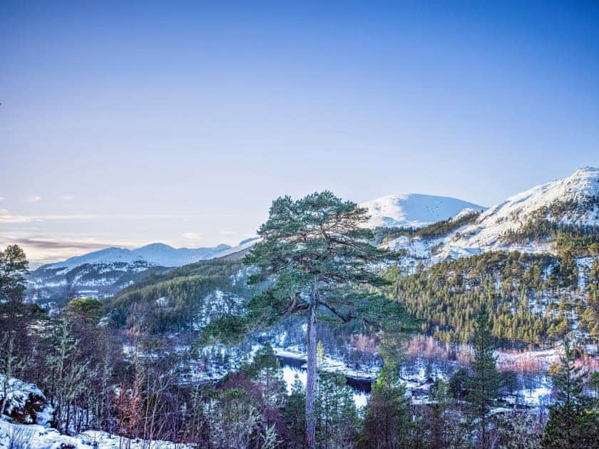 Setting | Birchwood Chalet - Kerrow House, Cannich
