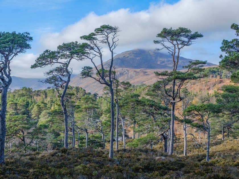 Setting | Rowan Chalet - Kerrow House, Cannich