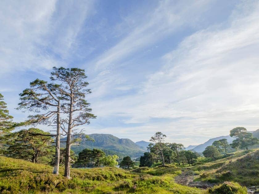 Setting | Rowan Chalet - Kerrow House, Cannich