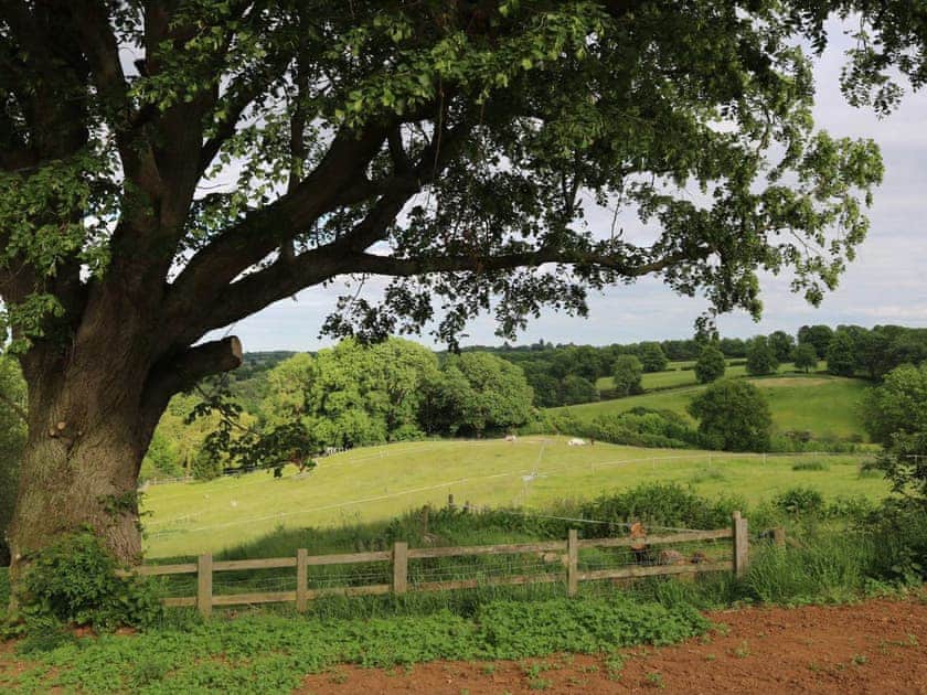 Surrounding area | Coton, Holdenby, Althorp - Steepleton Lodge Farm, East Haddon